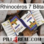 Rhinocéros 7 Bêta 12